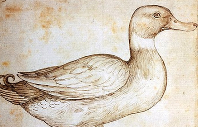 leonardo da vinci