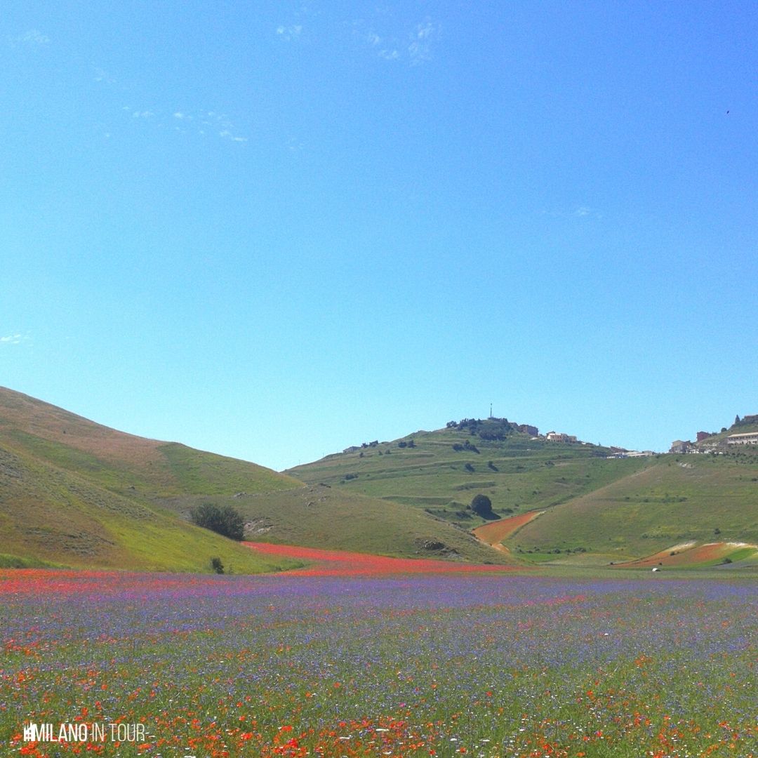 Cosa vedere in Umbria: Castelluccio