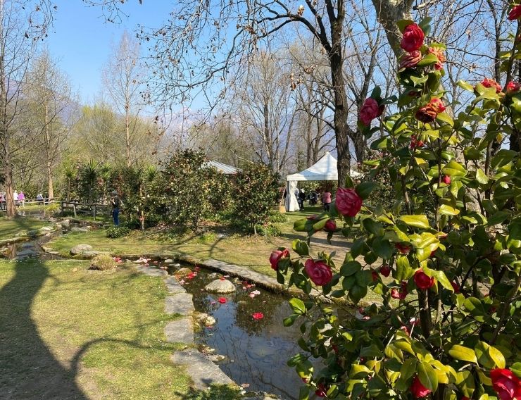 LOCARNO COSA VEDERE
